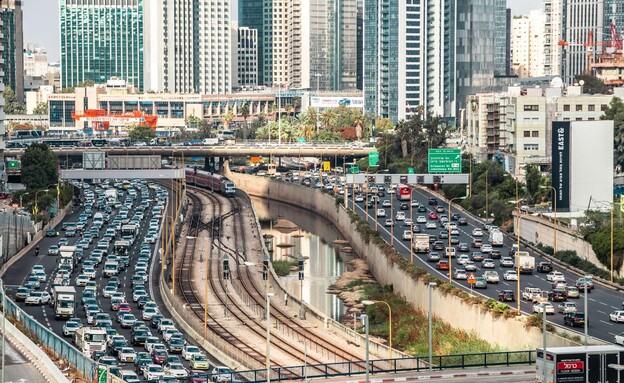 איילון (צילום: Davidi Vardi, Shutterstock) איילון (צילום: Davidi Vardi, Shutterstock)
